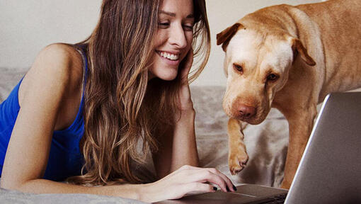 Žena a pes na notebooku