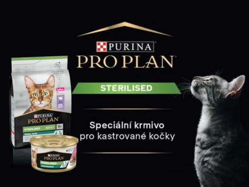 BP PP Cat Sterilised