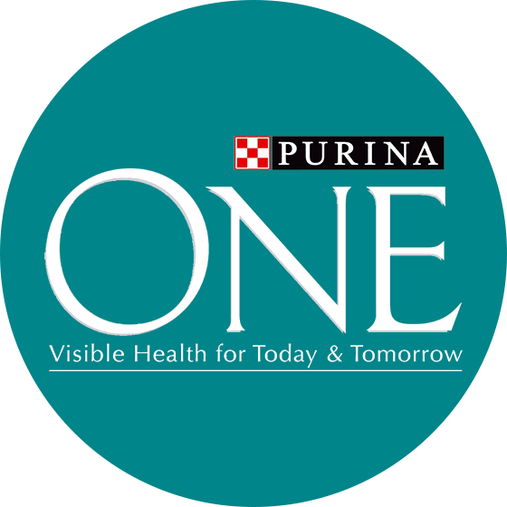 Purina One (archived) logo