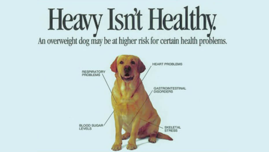 Plakát Těžký není zdravý