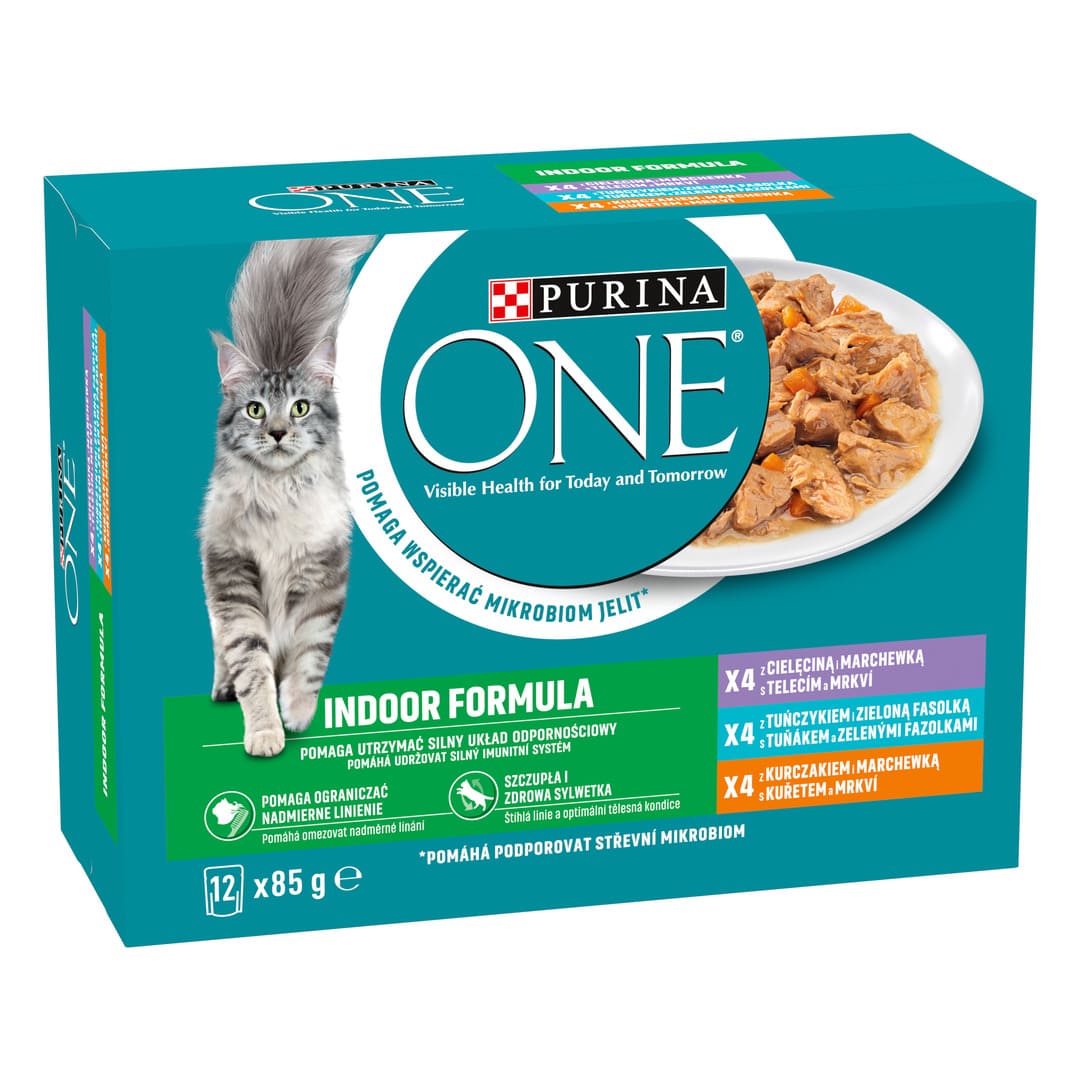 PURINA ONE Multipack INDOOR minifiletky s kuřetem
