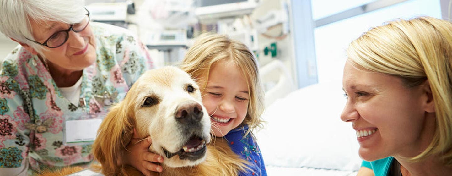 10 nejlepších terapeutických psů a jejich poslání