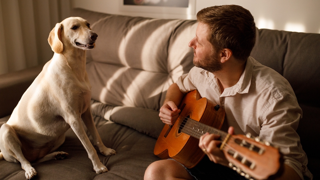 Dog listening to owner play guitar