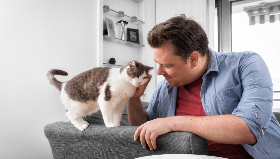 Muž hladící obličej jeho kočky, která stojí na opěradle pohovky
