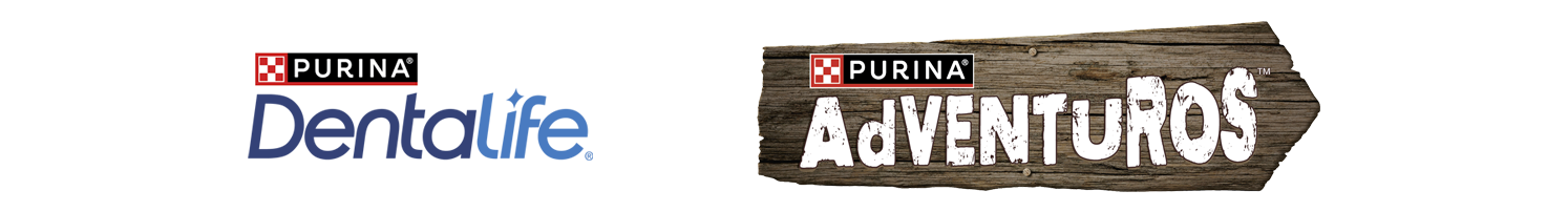 Dentalife Adventuros logo