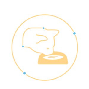 icon1