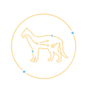icon3