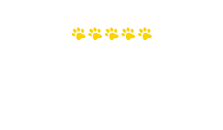 Hodnocení produktů Felix®