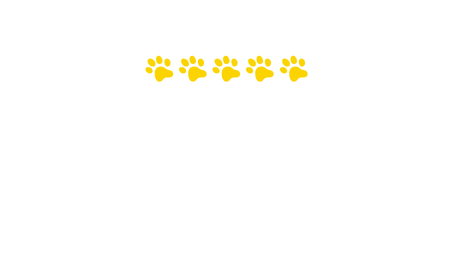 Hodnocení produktů Felix