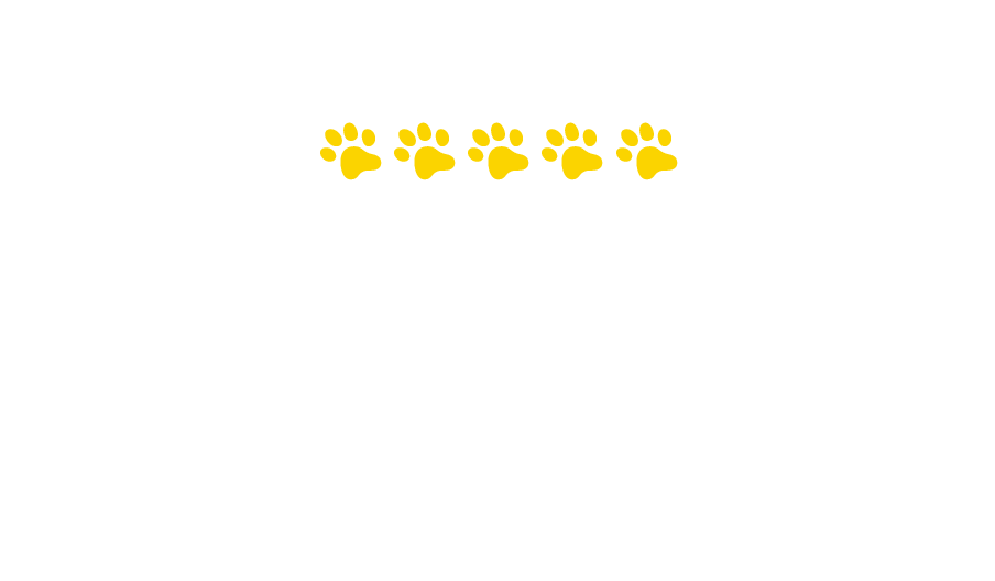 Hodnocení produktů Felix®
