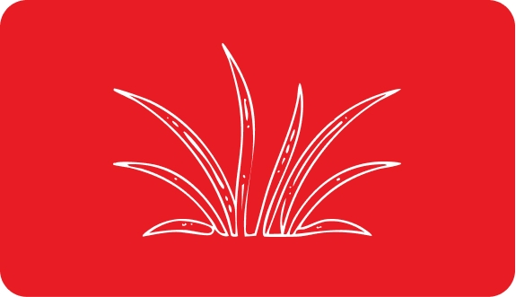 Louky mořských travin