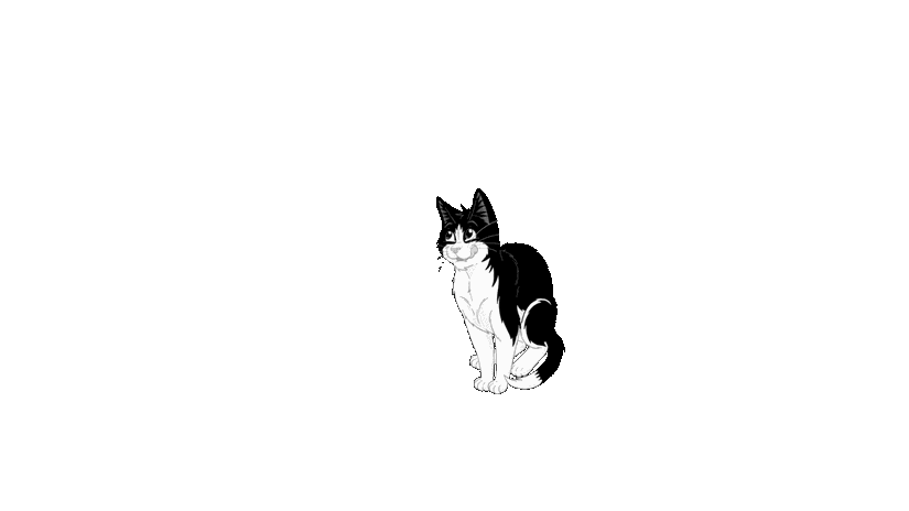 Kočka chodící dokola Purina Felix®