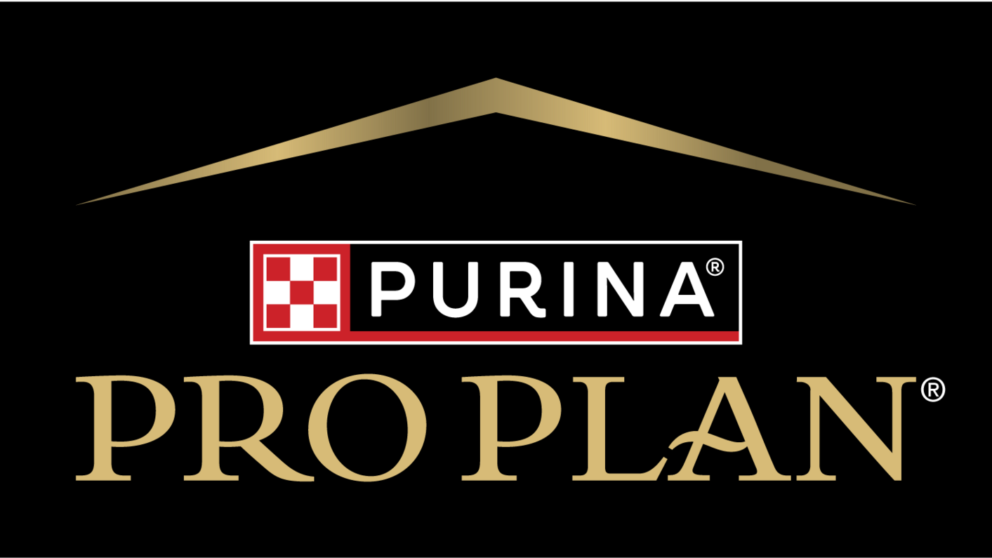 Logo Pro Plan - Klonované