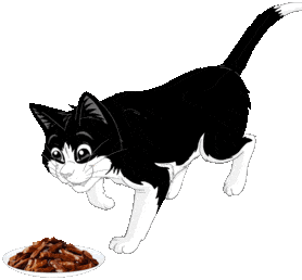 Felix eats food from a plate