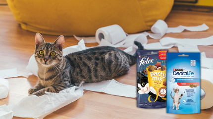 Kočka ležící na podlaze s toaletním papírem a produkty Felix/Dentalife