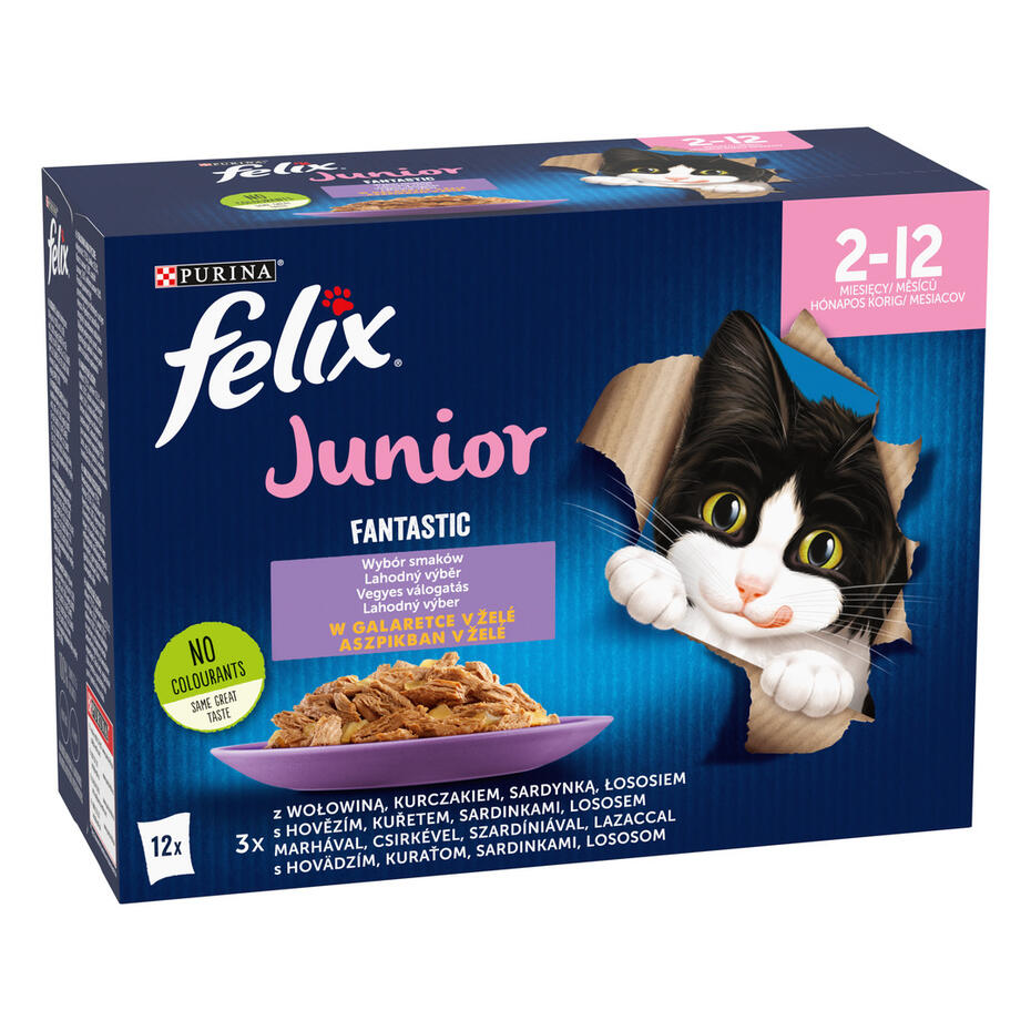 FELIX Fantastic Junior Multipack s hovězím, kuřecím, sardinkami, lososem v želé 12x85g