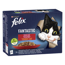 Felix Fantastic multipack s kuřetem, hovězím, králíkem a jehněčím v želé 12x85 g