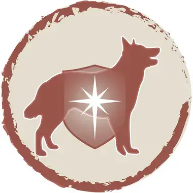 DOG CHOW SENSITIVE losos a rýže
