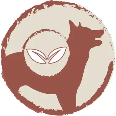 DOG CHOW SENSITIVE losos a rýže