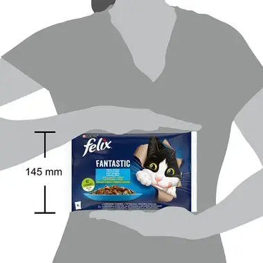 Felix Fantastic multipack - losos s cuketou a pstruh se zelenými fazolkami v želé 4x85 g