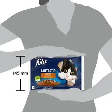 Felix Fantastic multipack s králíkem a jehněčím v želé 4x85 g