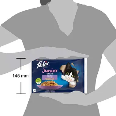 Felix Fantastic Junior multipack s kuřetem a lososem v želé 4x85g