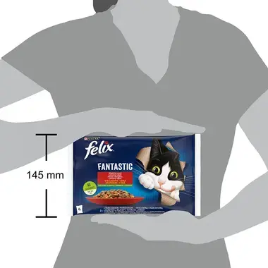 Felix Fantastic multipack - kuře s rajčaty a hovězí s mrkví v želé 4x85 g