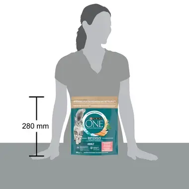 PURINA ONE ADULT losos