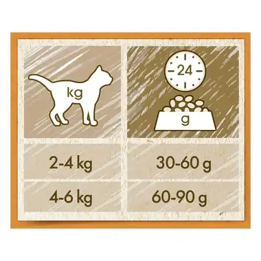 CAT CHOW ADULT kuře a krůta