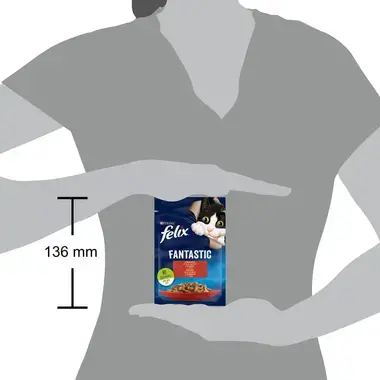 Felix Fantastic s hovězím v želé 85 g