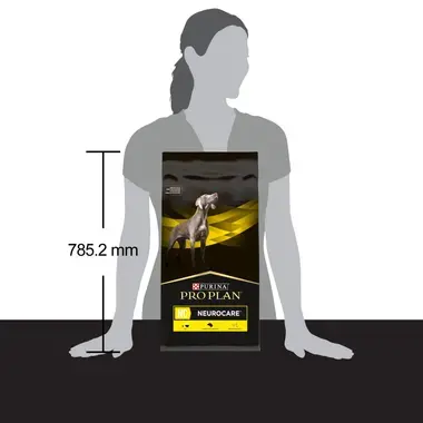 PURINA® PRO PLAN® VETERINARY DIETS Canine JM Joint Mobility, granule pro psy