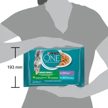 PURINA ONE Multipack INDOOR minifiletky s tuňákem a zelenými fazolkami/s telecím a mrkví