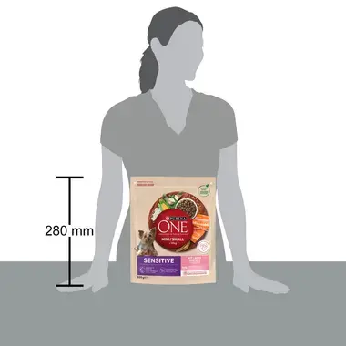 PURINA ONE MINI Sensitive Dog Losos