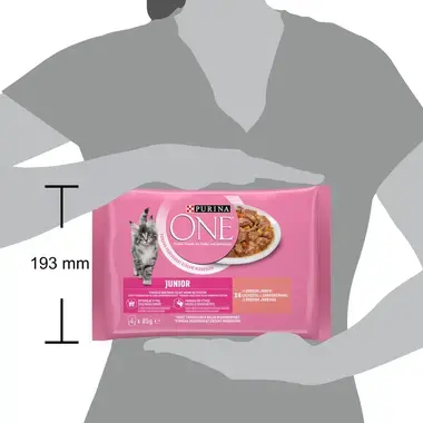 PURINA ONE Multipack JUNIOR minifiletky s lososem a mrkví ve šťávě