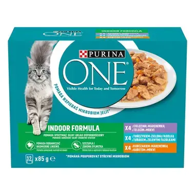 PURINA ONE Multipack INDOOR minifiletky s kuřetem