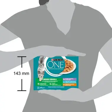 PURINA ONE Multipack INDOOR minifiletky s kuřetem