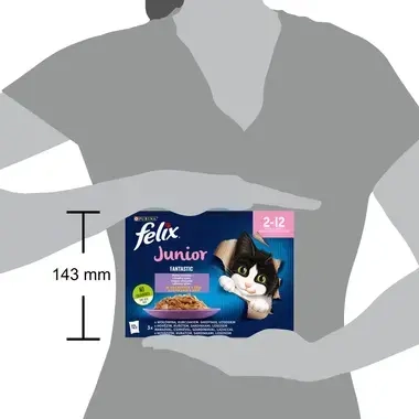 FELIX Fantastic Junior Multipack s hovězím, kuřecím, sardinkami, lososem v želé 12x85g