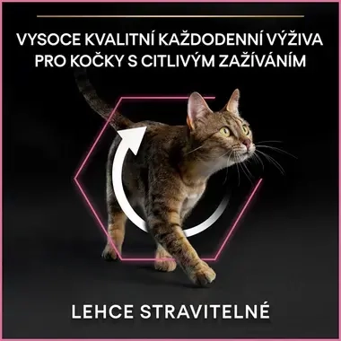 eContent