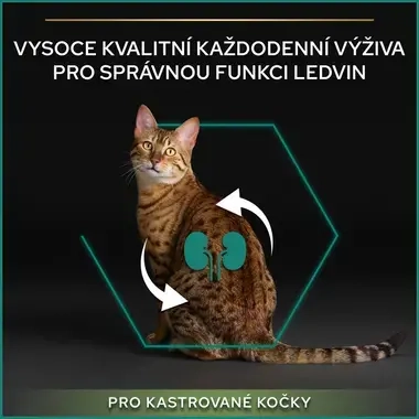 eContent