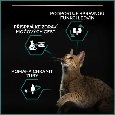eContent