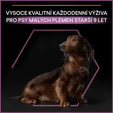 eContent