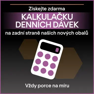 eContent