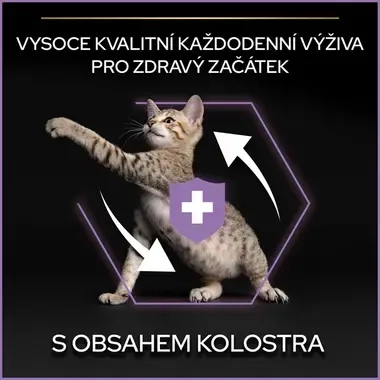 eContent