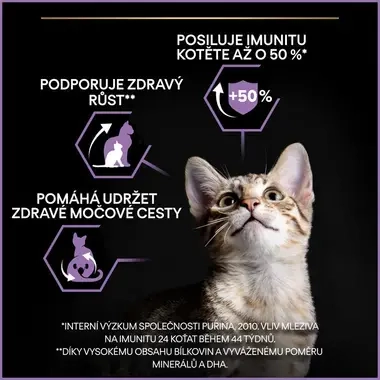 eContent