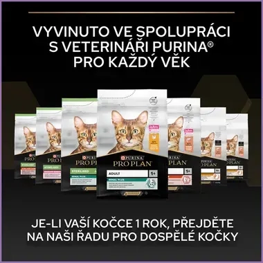 eContent