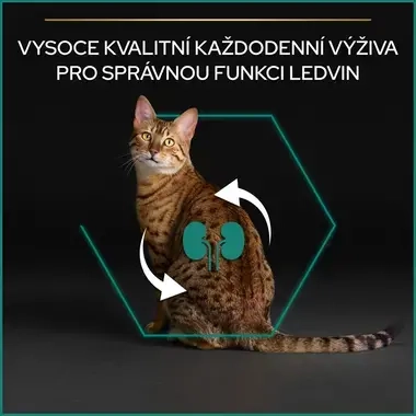 eContent