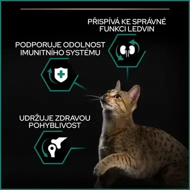 eContent
