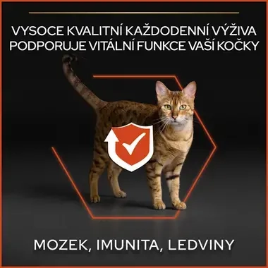 eContent