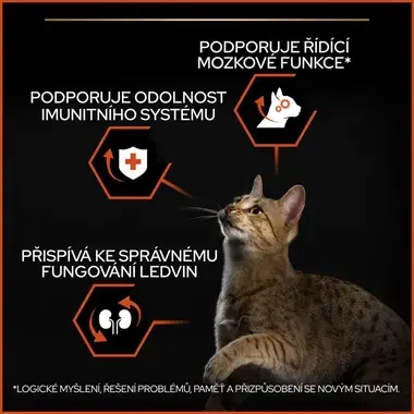 eContent