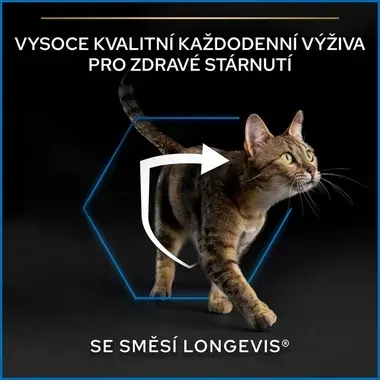 eContent